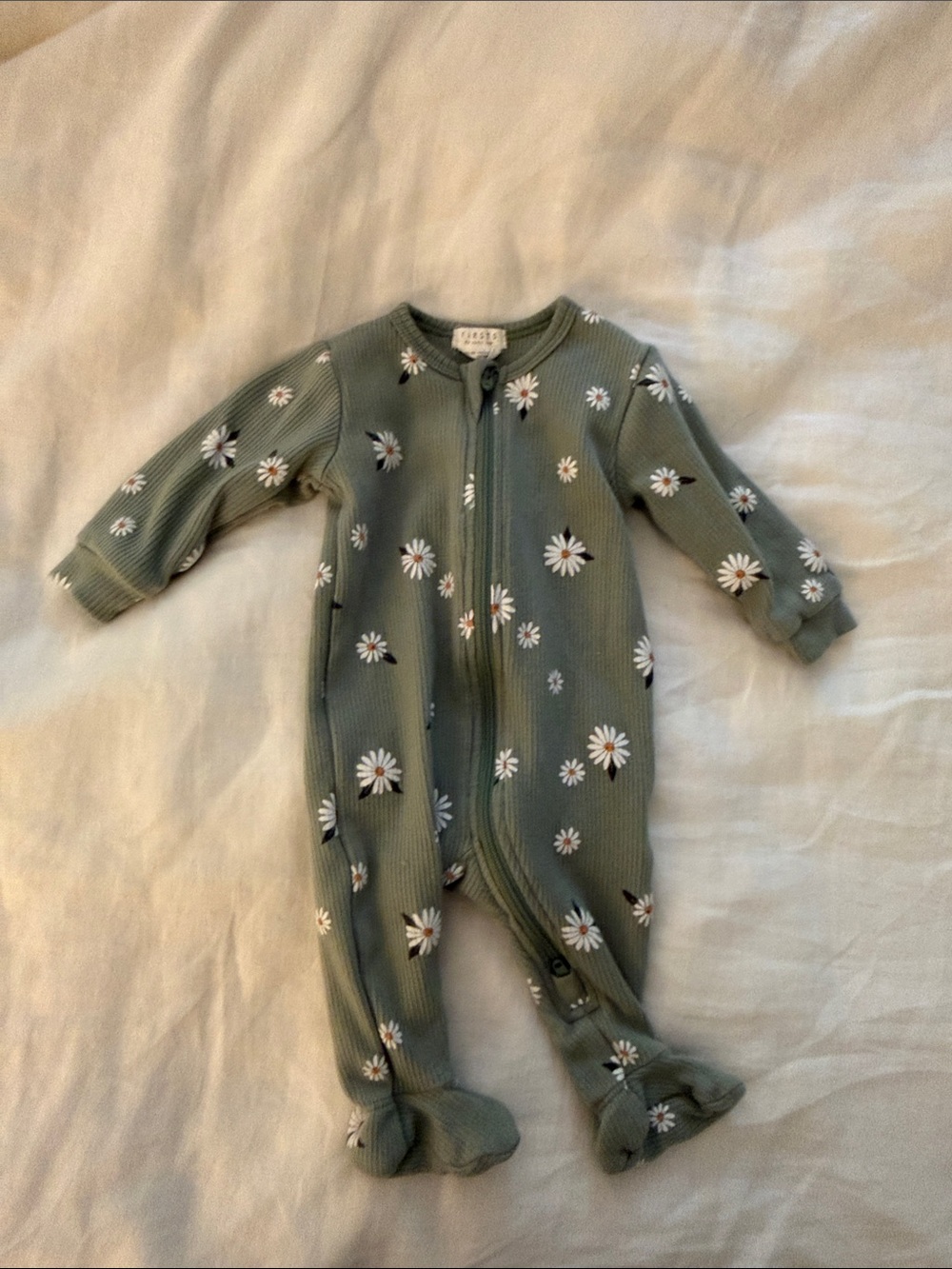 Firsts by Petit Lem Sage Green Daisy Ribbed Footed One-Piece